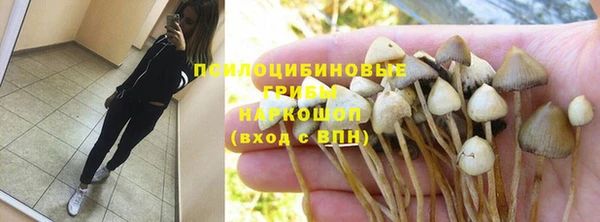 PSILOCYBIN Верхнеуральск